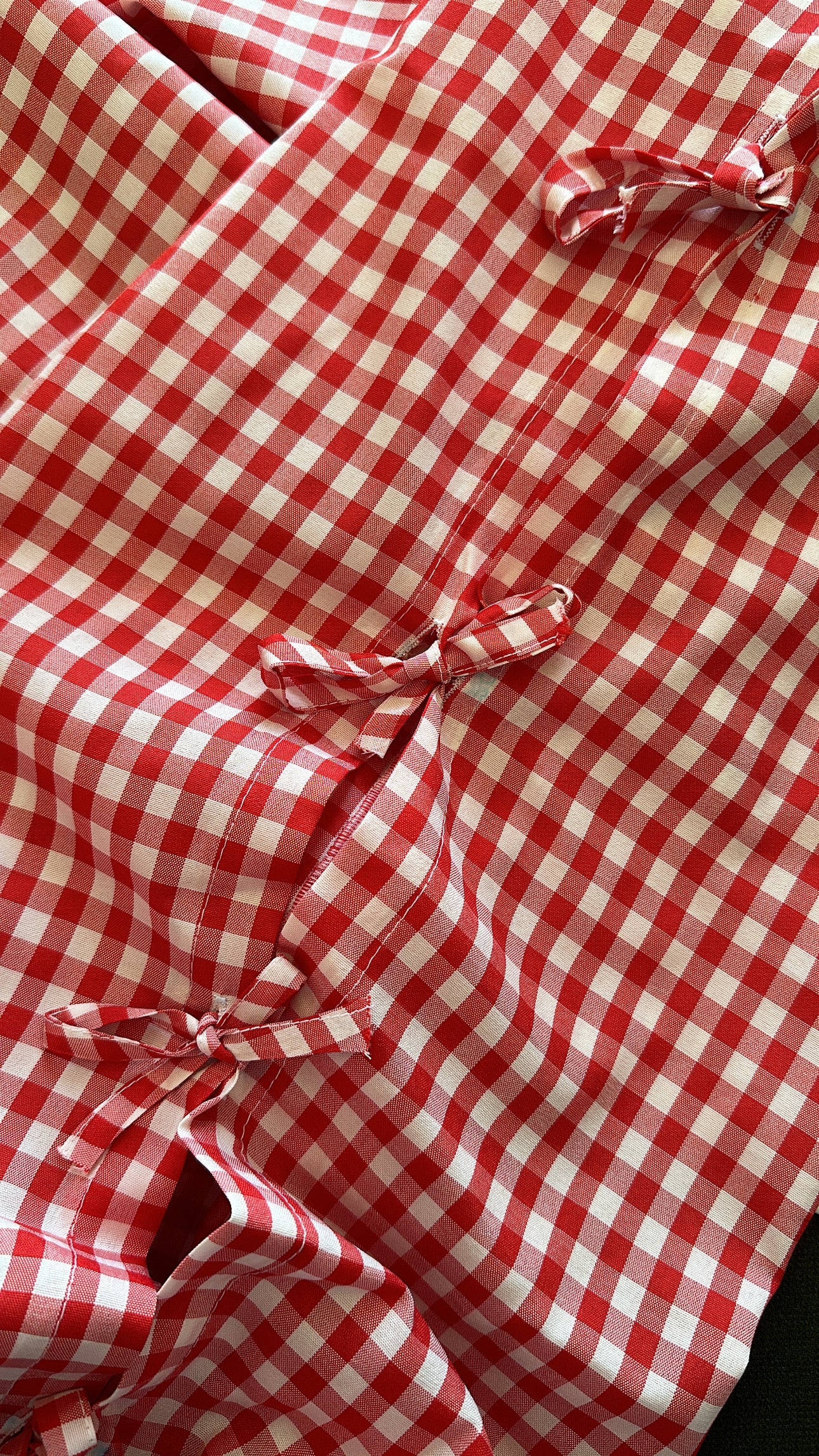 Red gingham ribbon pants